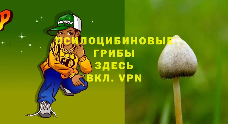 blacksprut вход  Нижние Серги  Псилоцибиновые грибы Magic Shrooms 